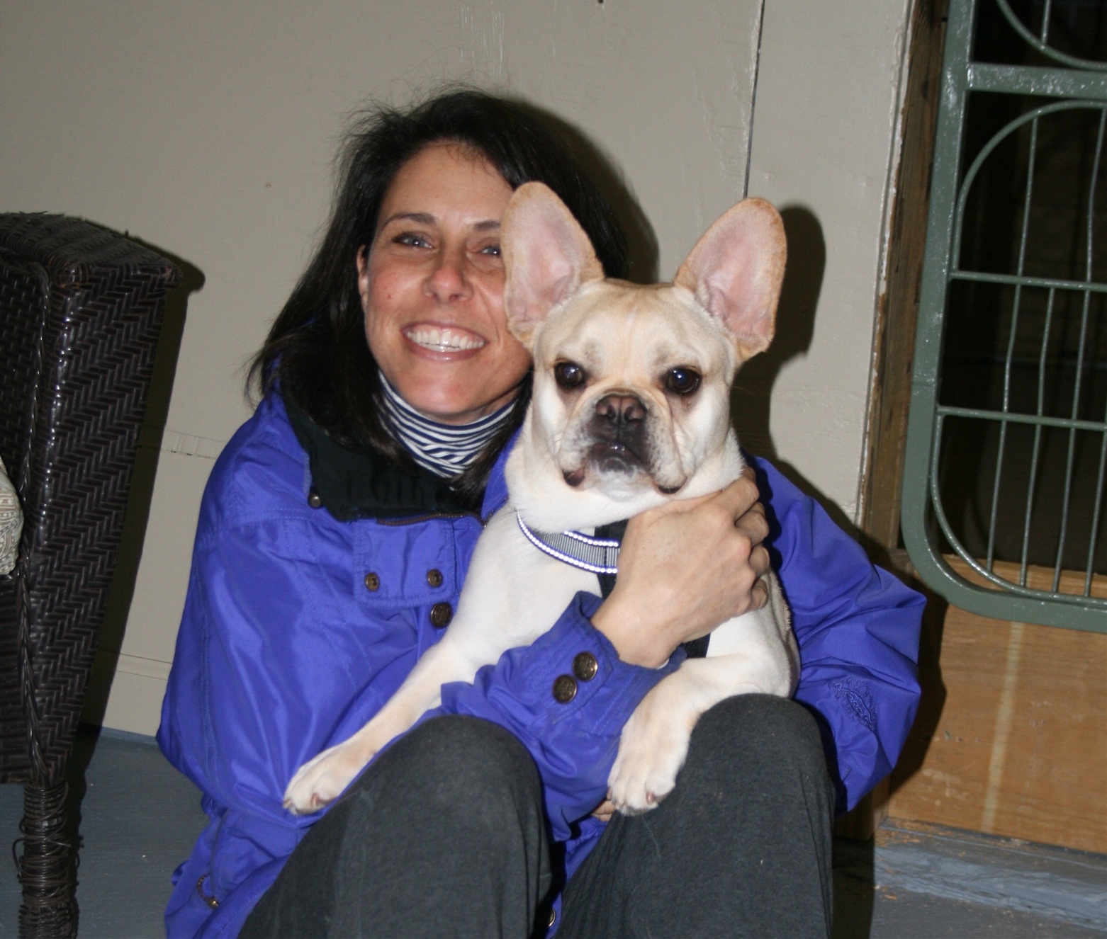 ballypines dog ranch