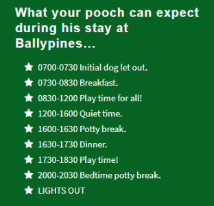 ballypines dog ranch