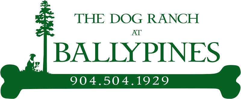 Ballypines Dog Ranch | Chesapeake, VA