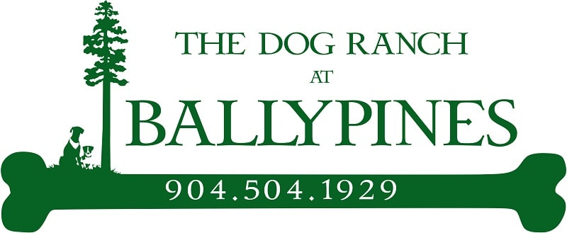 Ballypines Dog Ranch logo